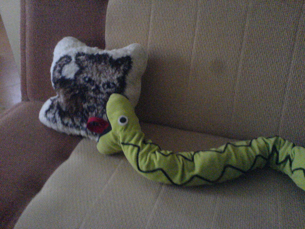 Snake eating cat! eyair Flickr