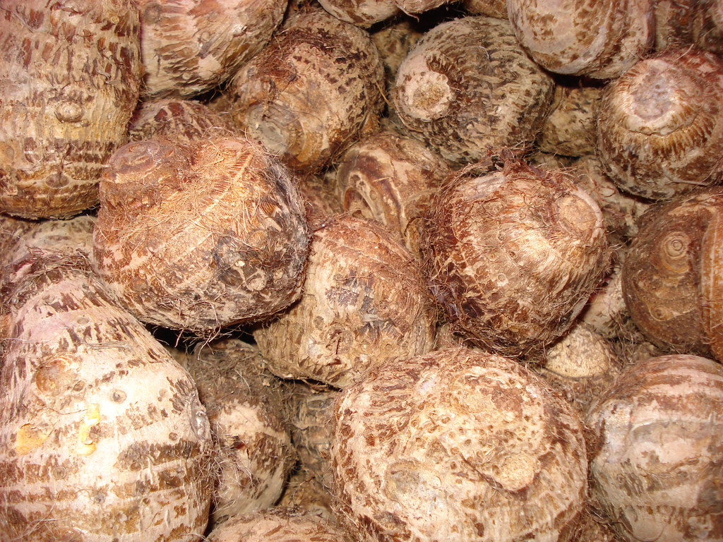 You say "Taro", I say "Eddo" Taro goes by several names, i… Flickr