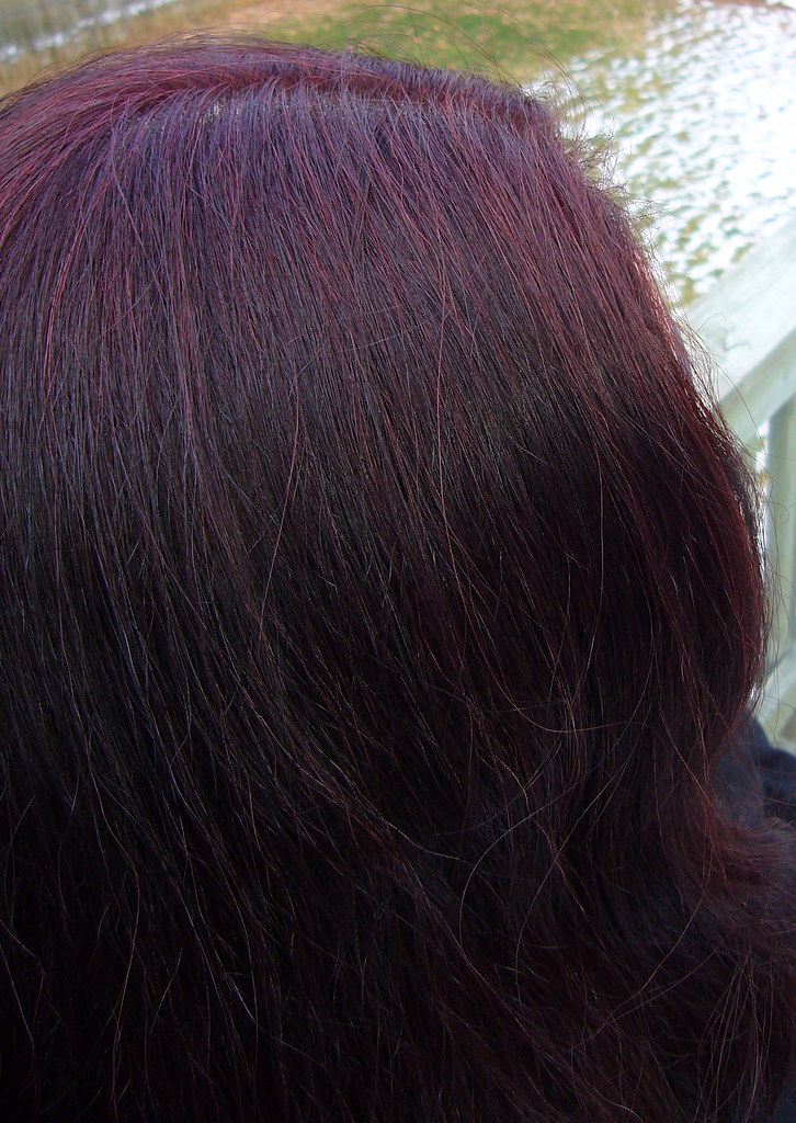 Feria chocolate cherry An oldie. I haven't used this color… Flickr
