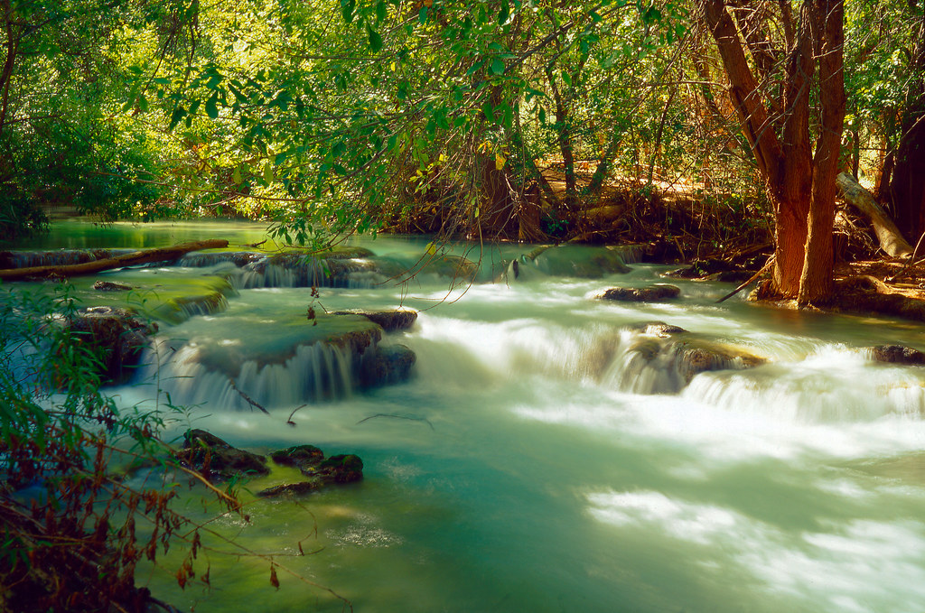 Garden of Eden Garden of Eden you can camp in... if you ma… Flickr