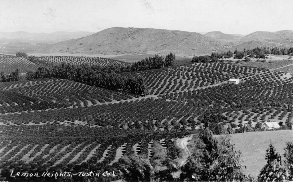 Lemon Heights, Tustin, California There are no known copyr… Flickr