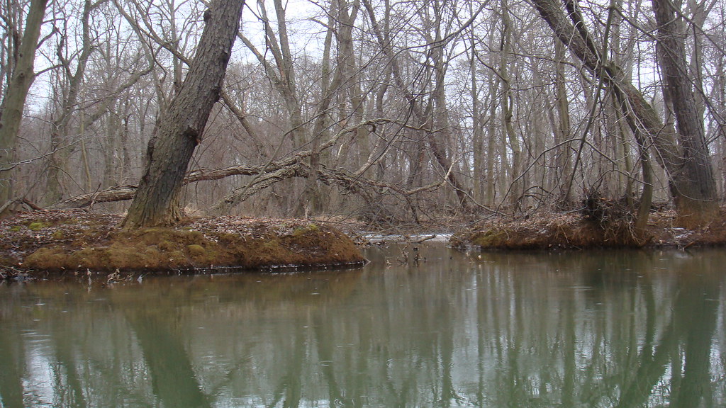 Cold Pond The lake started to freeze over but not the pond… Flickr