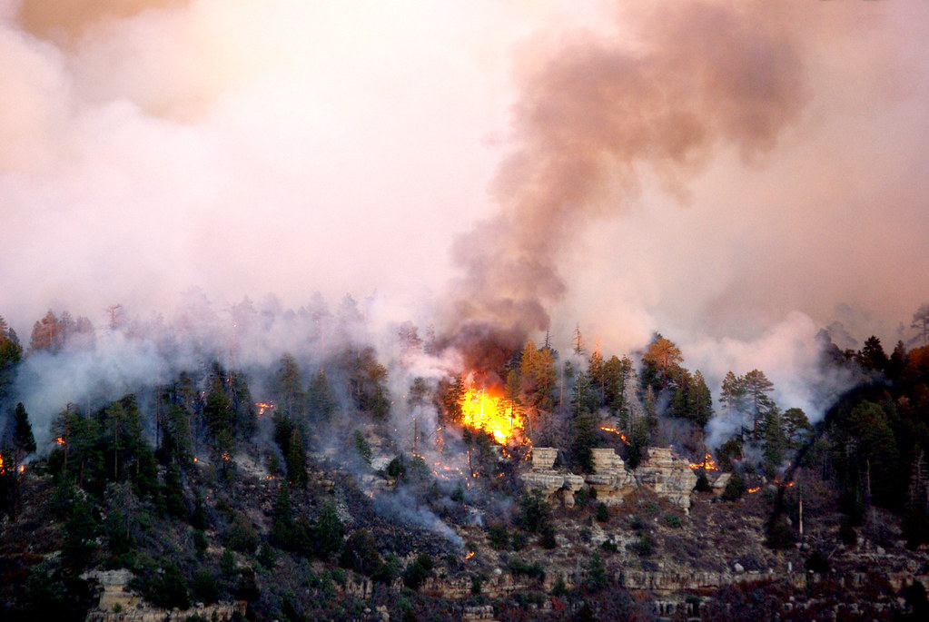 Grand Canyon North Rim fire I watched this forest fire on … Flickr