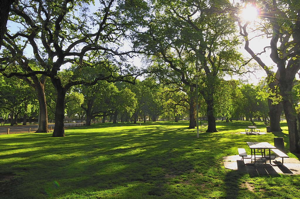 Elk Grove Park Elk Grove Park North of the Straus Pavillio… Peter Baer Flickr