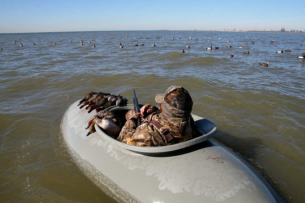 Mississippi's Diving Duck Hunting On The Mississippi Sound… Flickr
