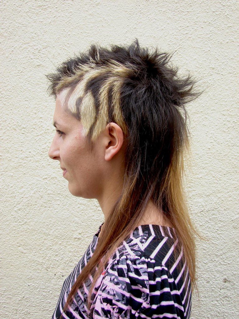 hair design zebra hair design check out www.hairport.pt wip