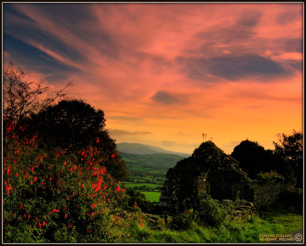A DESERTED IRISH COTTAGE, IRELAND. Many old abandoned