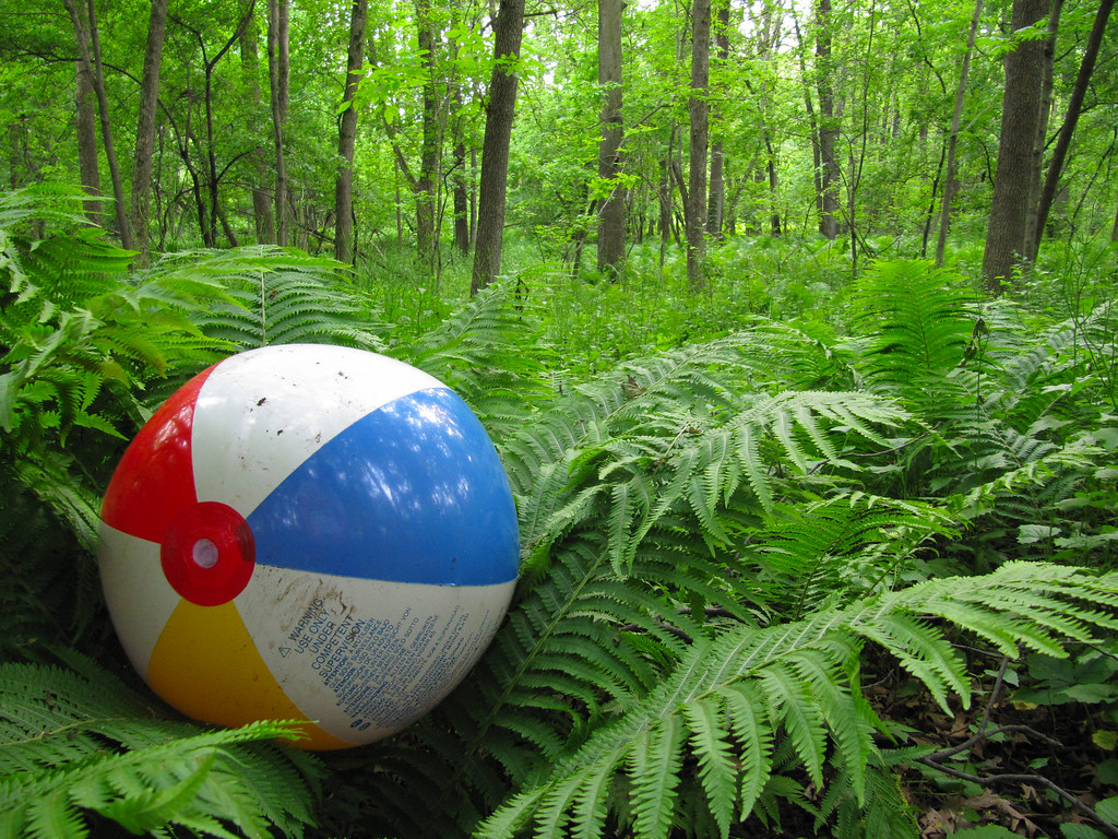 Castaway Beach Ball This must be Wilson's cousin? Jason Betthauser