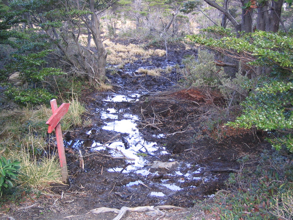 Quagmire Swampy path which greeted us at the start of Day … Flickr