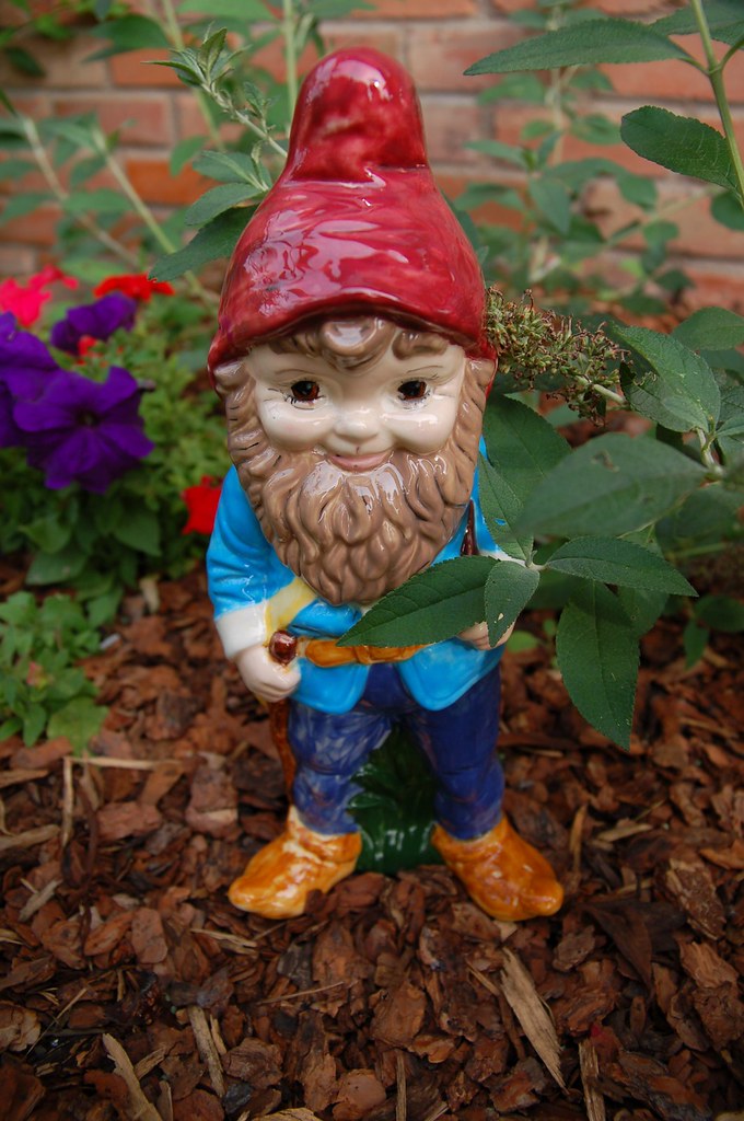 Garden Gnome This little guy was sitting on our doorstep o… Flickr