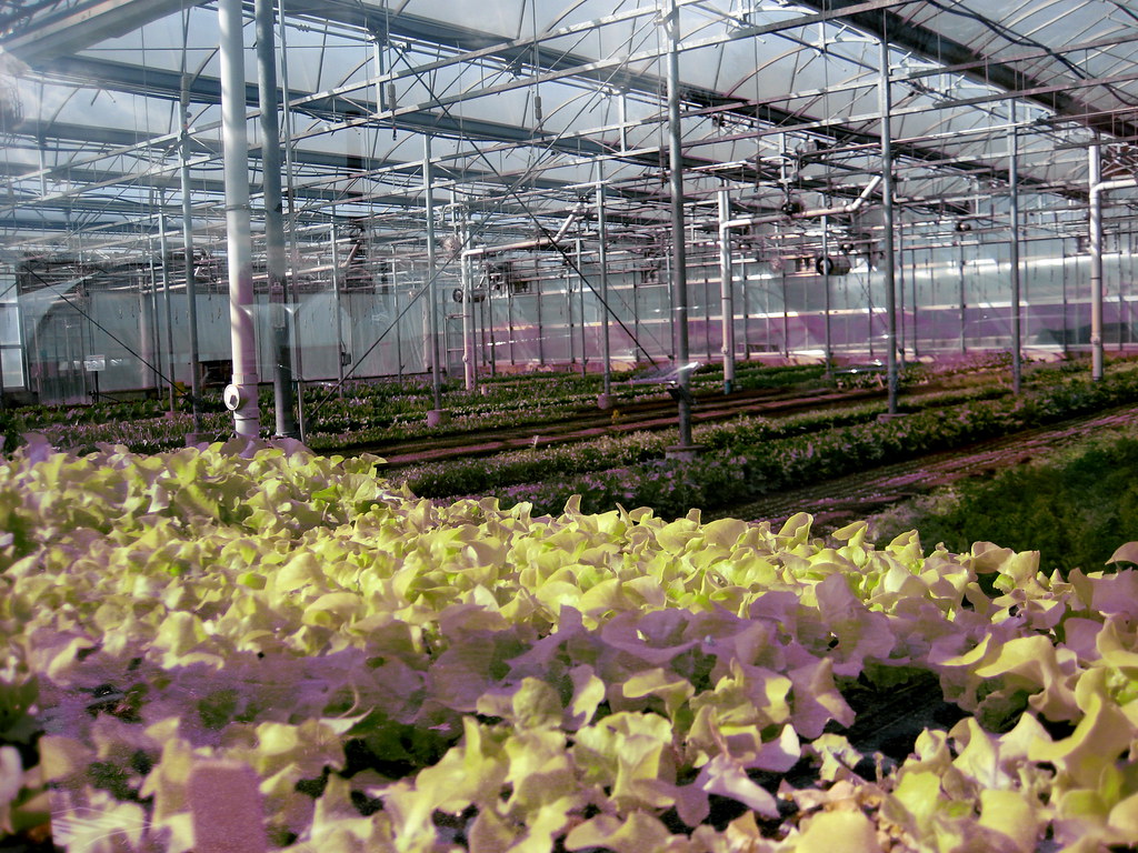 Blue Hill at Stone Barns greenhouse The greenhouse, with… Flickr