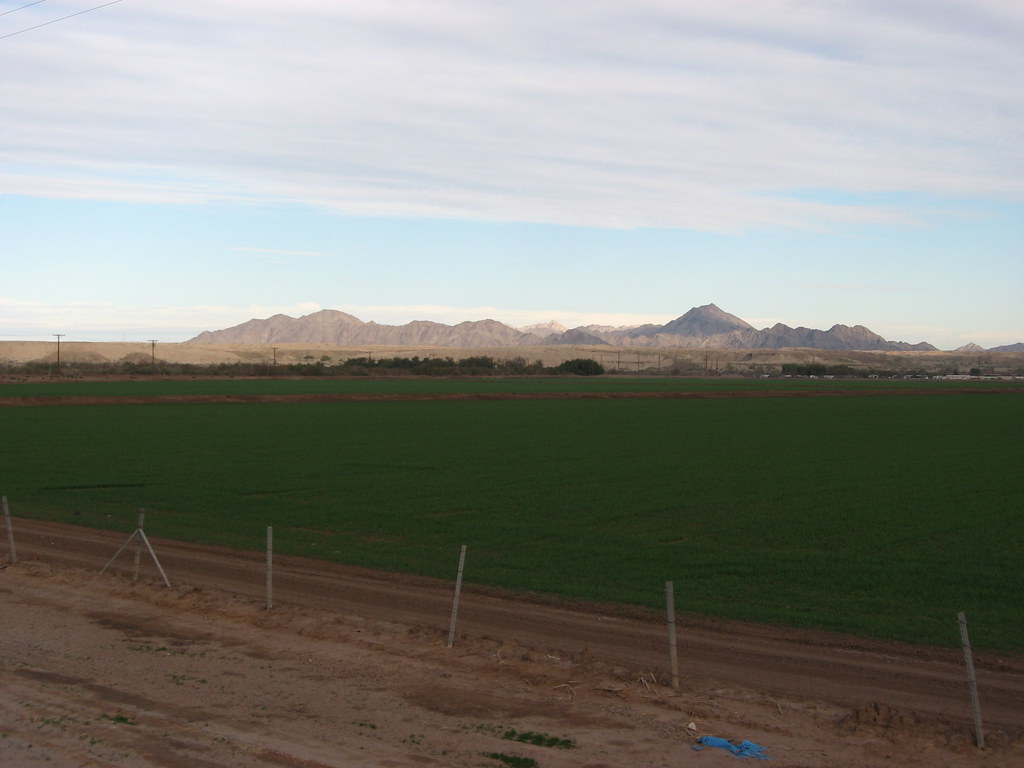 Agriculture, I8, near Yuma, Arizona in Imperial County, C… Flickr
