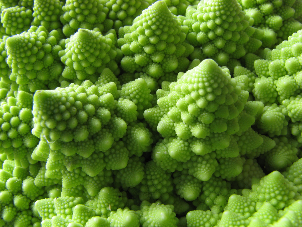 Strange Vegetable It looks like little Christmas trees, bu… Flickr