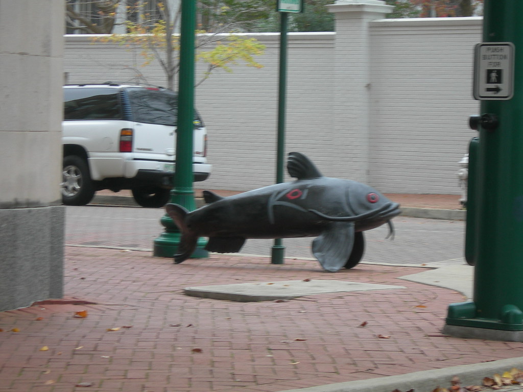 Giant Catfish Jackson, Mississippi Jimmy Emerson, DVM Flickr