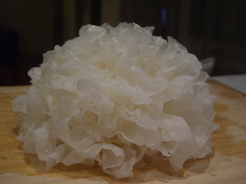 White Cloud Ear Fungus rehydrated White cloud ears 云耳 ar… Flickr