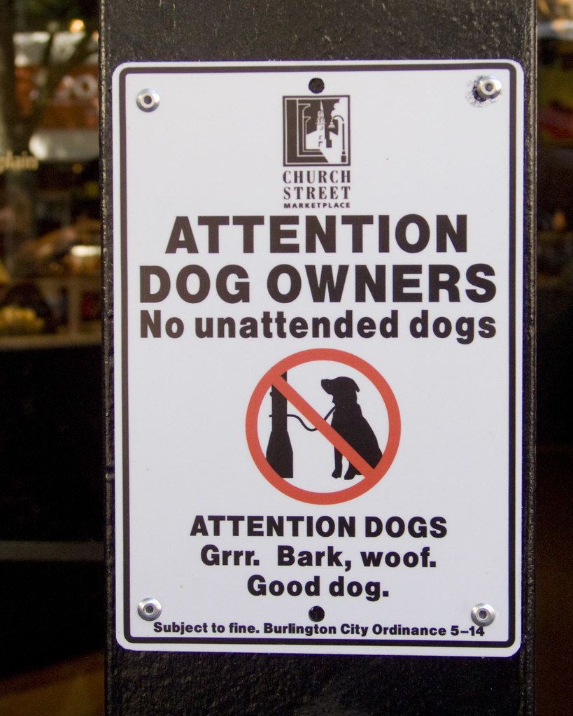Attention Dog Owners Burlington VT is a very dogfriendly … Flickr