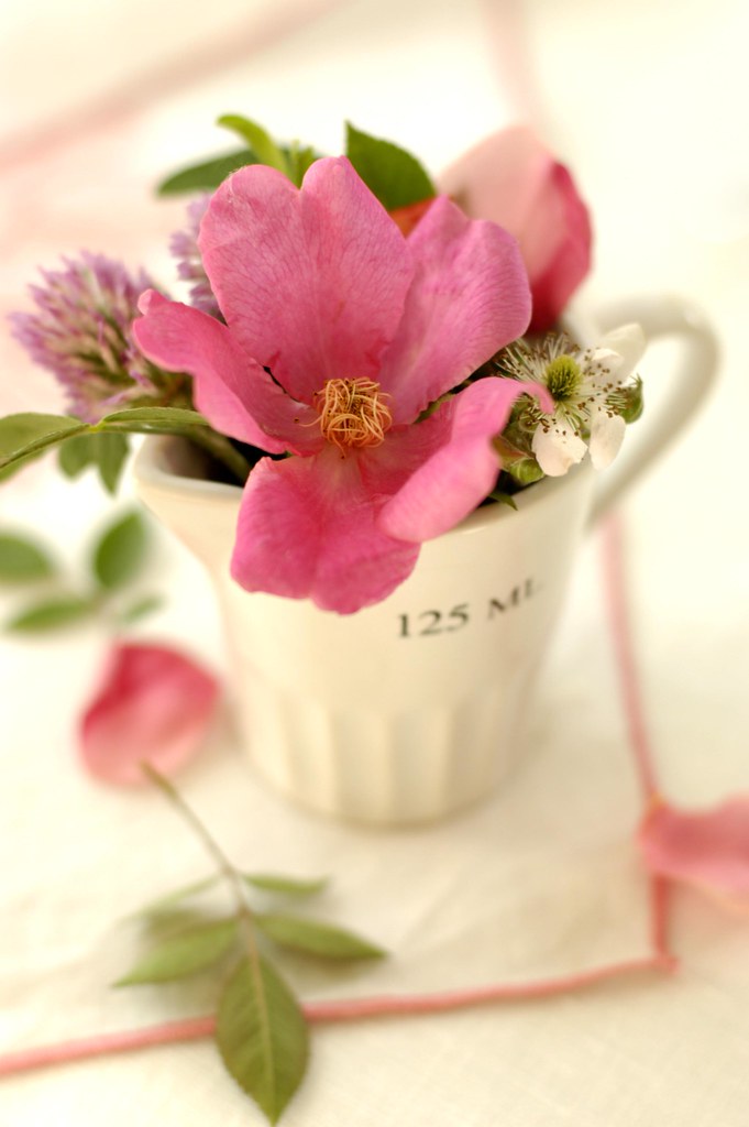 18+ Kitchen Bouquet Msg, Great Concept!