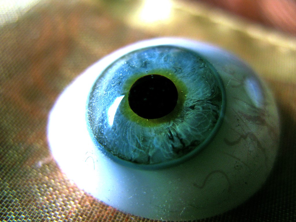 glasauge glass eye aus der Musterkollektion einer alten … Flickr