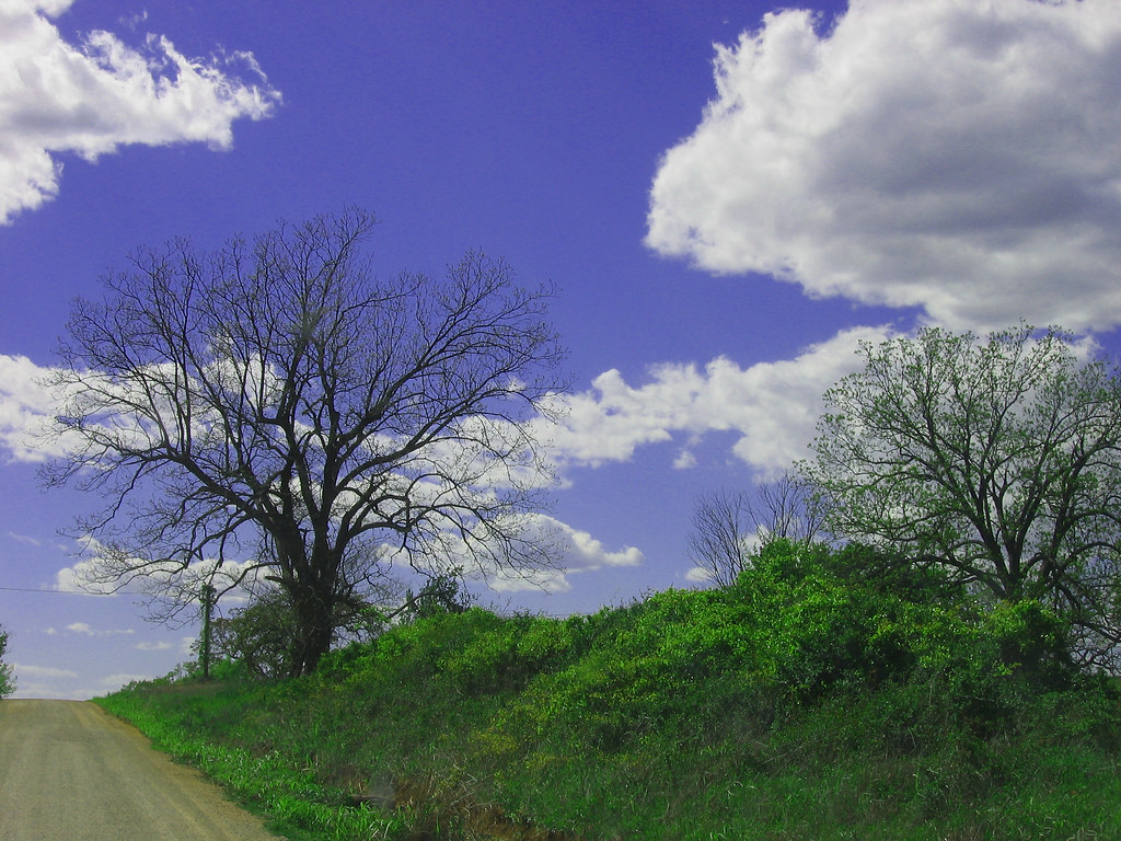 Dirt road in Oklahoma Road headed nowhere in Oklahoma. Flickr