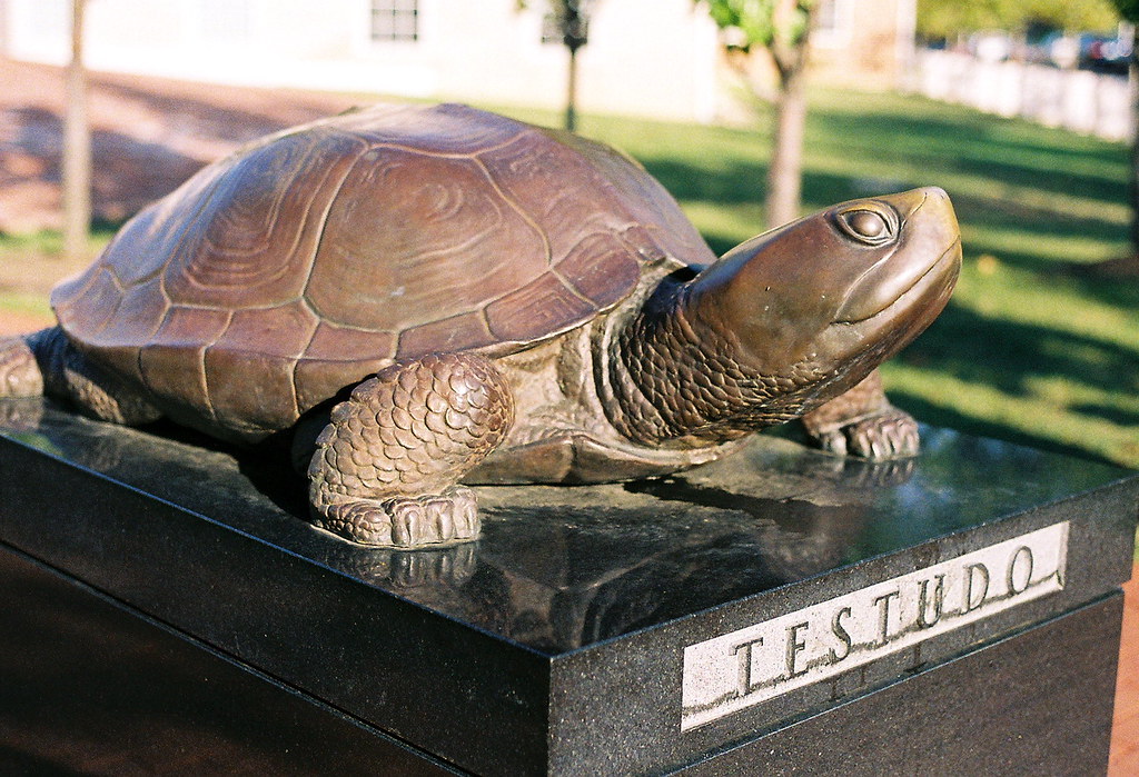 Testudo_2 Bronze statue of "Testudo", the University of