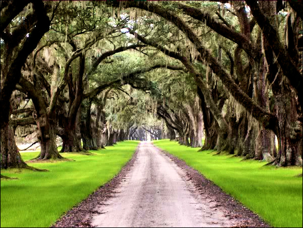 Tomotley Plantation Yemassee, SC Brandon Coffey Flickr