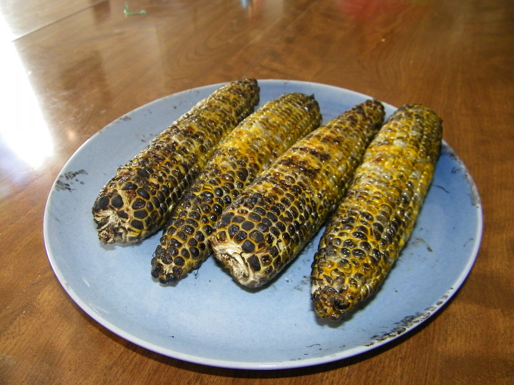 32/365/397 (July 13, 2009) Burnt Corn Oh well, the fire … Flickr