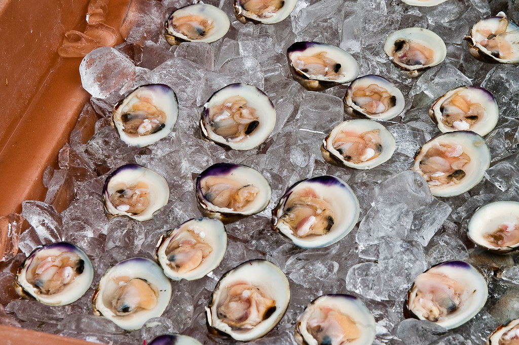 Seaside Heights, New Jersey Seafood Festival Raw clams on … Flickr