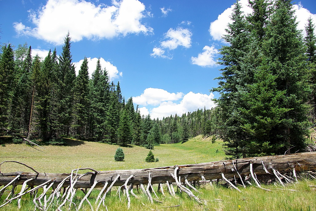 North Kaibab Plateau meadow Grand Canyon North Rim Flickr