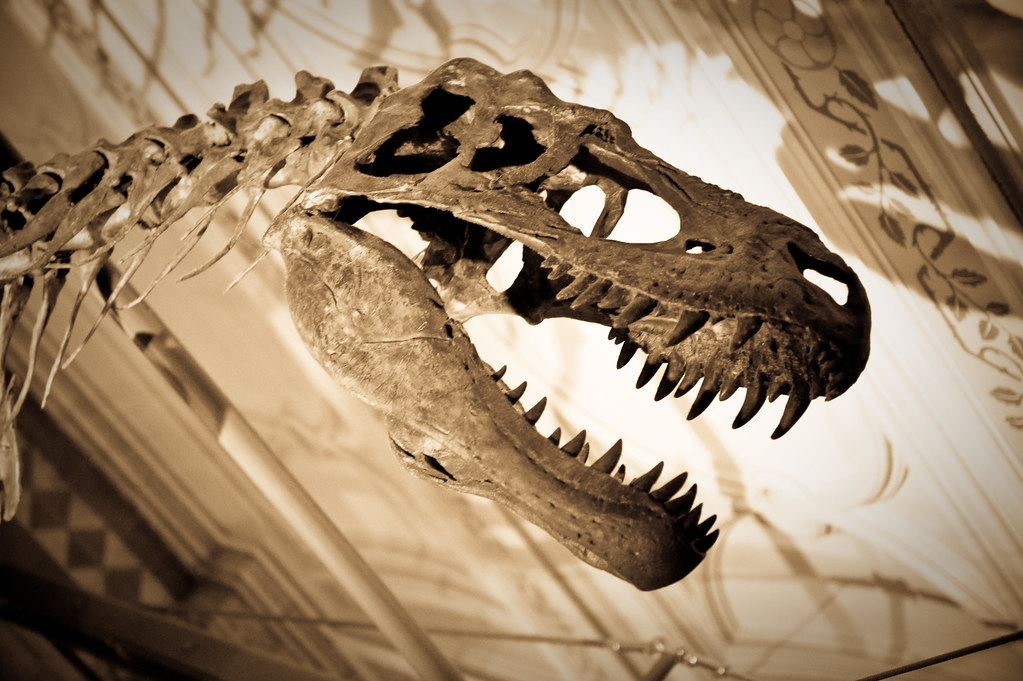 Web the spinoff reports:. Natural History Museum London, UK Josh Hallett Flickr