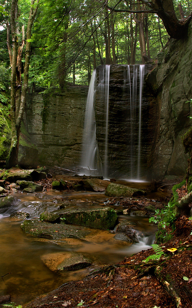 Hector Falls, Ludlow PA A vertical from Hector Falls. Flickr