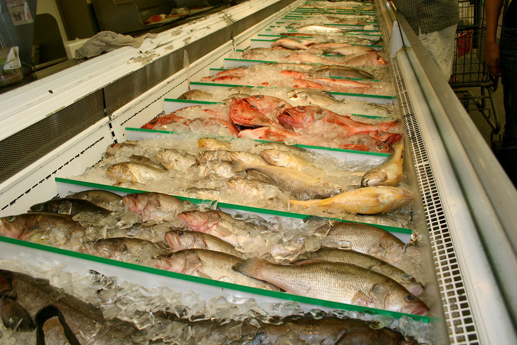 99 Ranch MarketIrvine, CAFish Case Fresh Fish case.. Michael