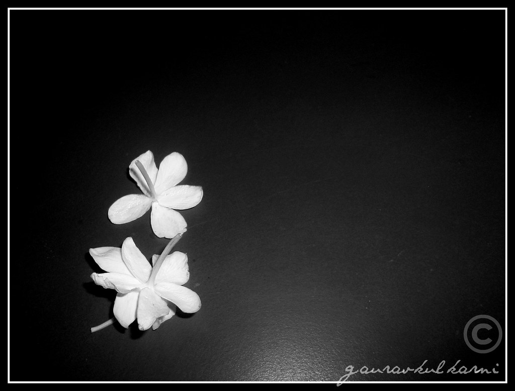 Colour is Black and White put together... I only dream in … Flickr