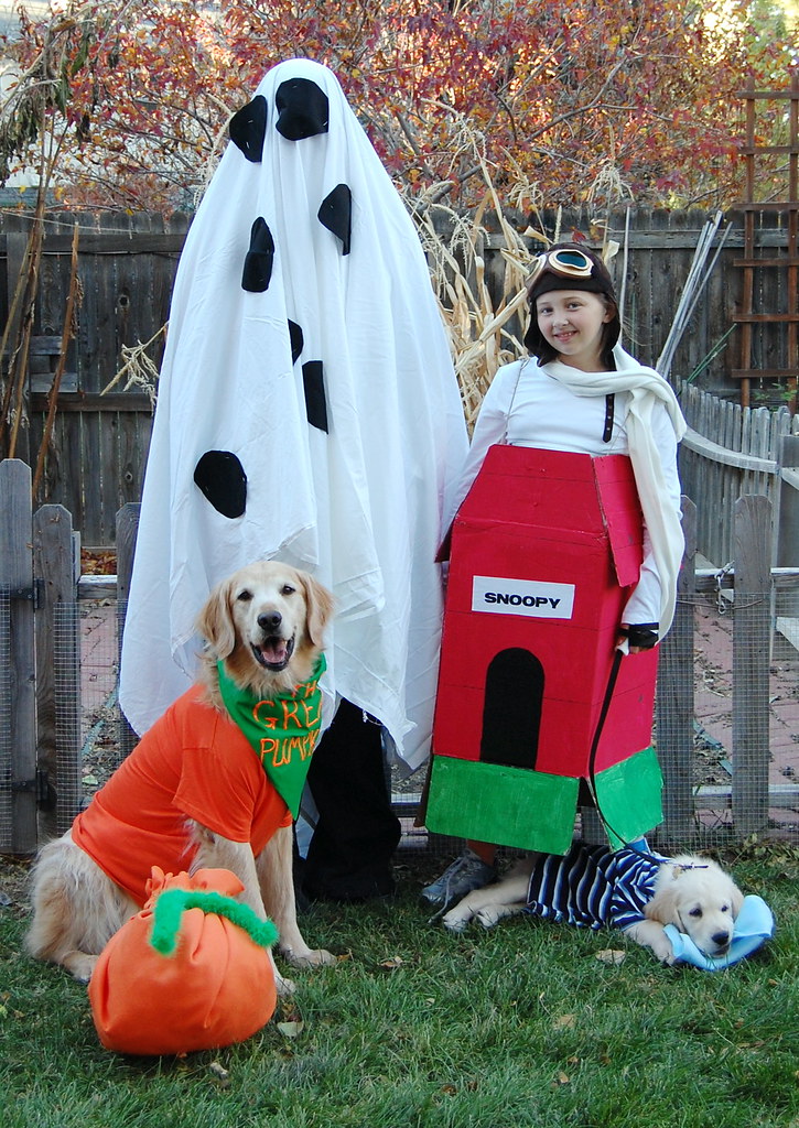 It's the Great Pumpkin, Charlie Brown Costumed Character… Flickr