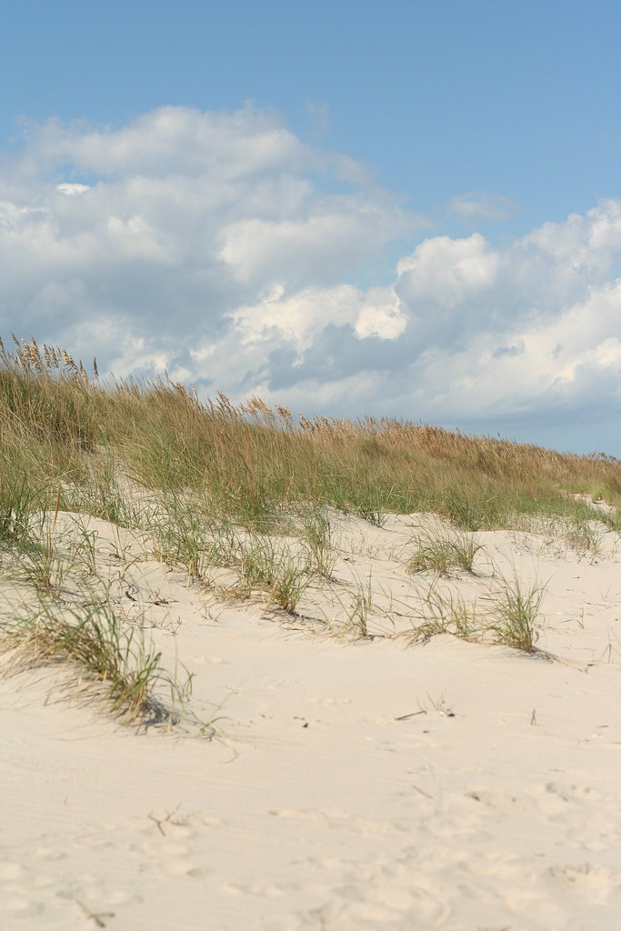 Dunes of Virginia Beach (Sandbridge, VA) Brent Hoard Flickr