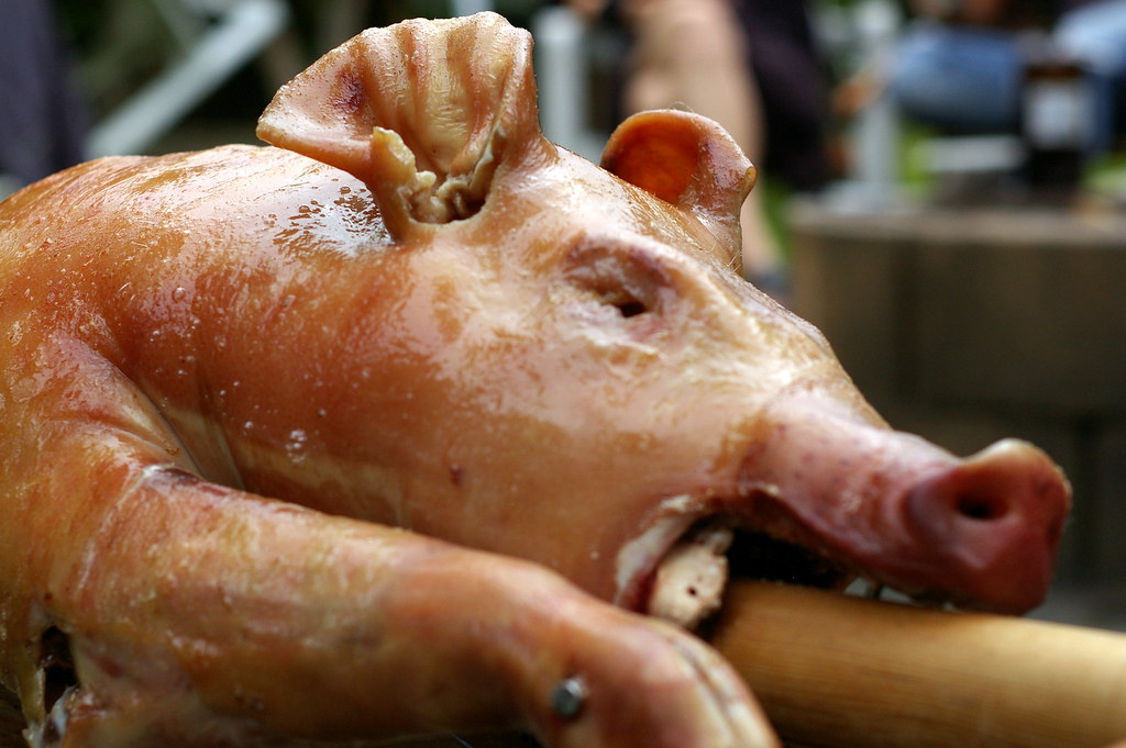 Sweating Pig Pentax K100D + SMC 50/1.7 My friends purcha… Flickr