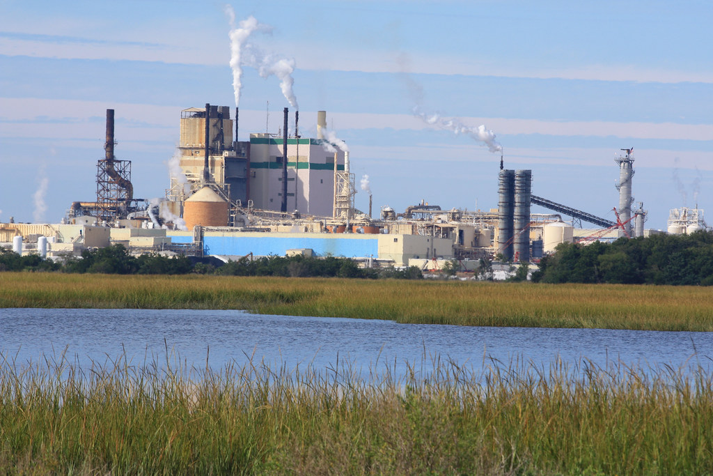 brunswick cellulose (gp cellulose), from andrews island ca… Flickr