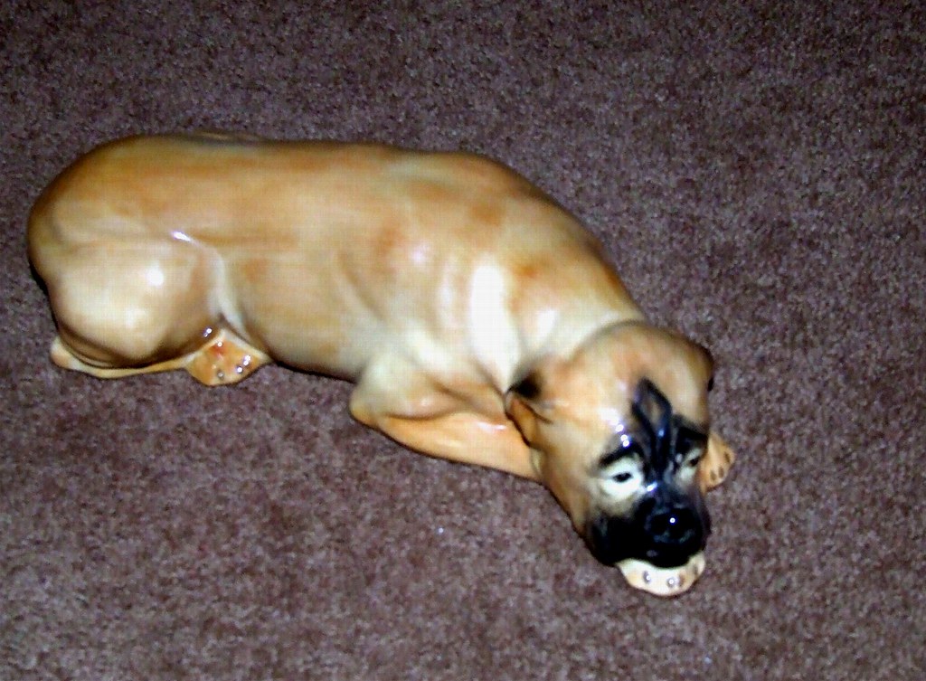 BONGO THE BOXER the oldest dog we ever have had ! 45 YEARS… Flickr