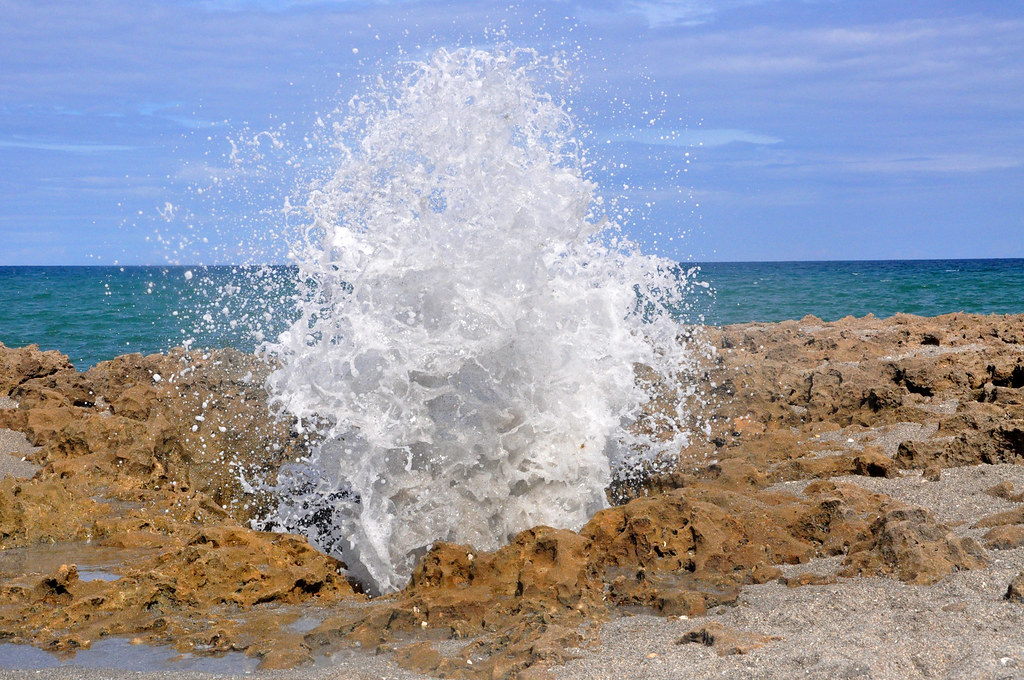 Blowing Rocks Preserve Anastasia Limestone beach formation… Flickr