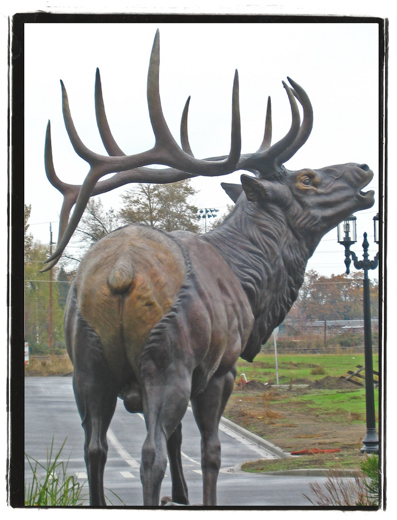 Bronze bull elk sculpture in Twin Creeks TOD Public Art in… Flickr