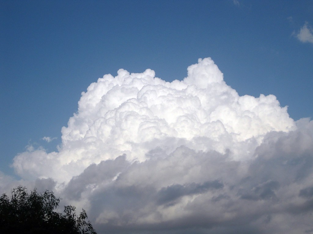Cumulonembo Cumulonimbus incus Cumulonimbus (Cb) is a