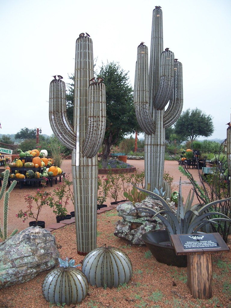 Metal Cactus Garden Metal Garden Art. chlue22 Flickr
