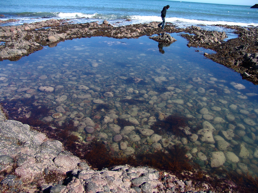 Rock pool Stonehaven, Scotland Next to Dunottar Castle, … Flickr