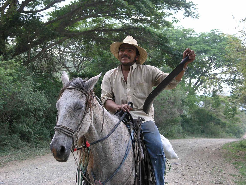 caballo follando hombre gratis