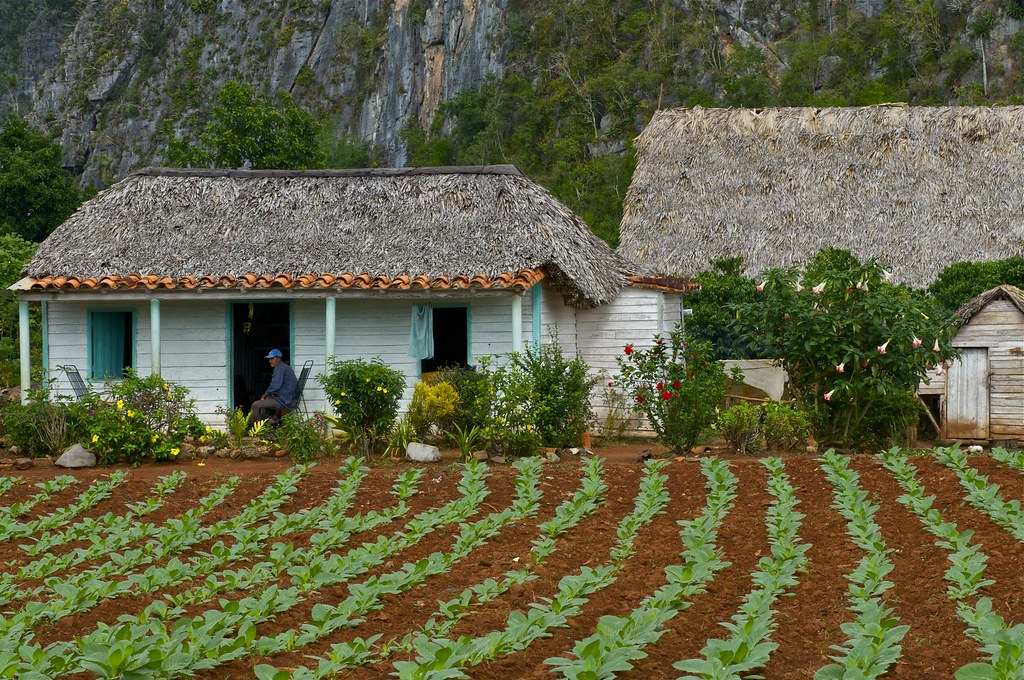Cuban farm redeyesatdawn Flickr