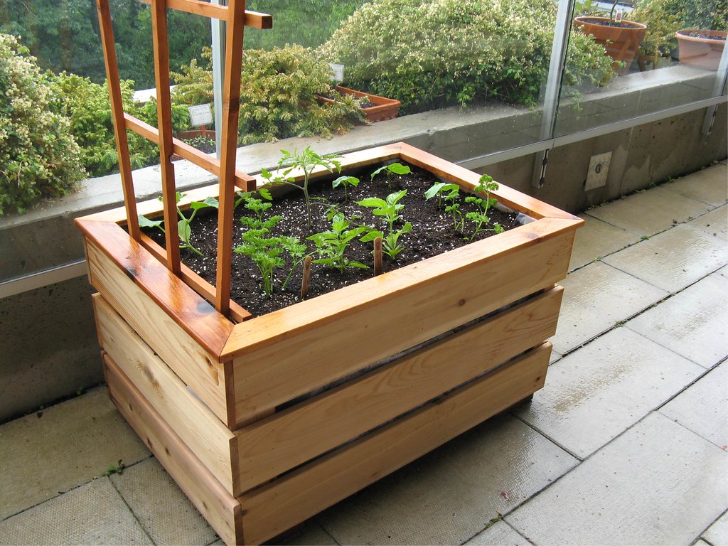 organic vegetable balcony garden box 2 Laura Flickr