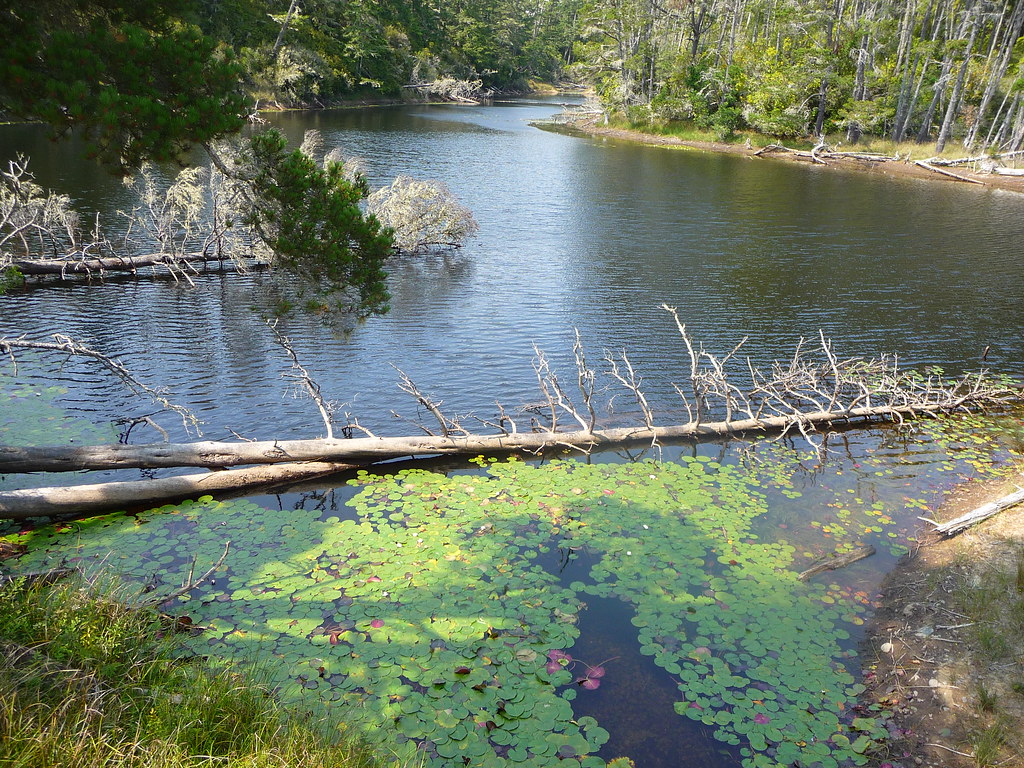 Butterfield Lake, Oregon Dunes Butterfield Lake, Oregon Du… Flickr
