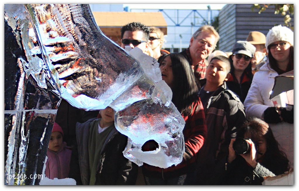 Frozen Saber Tooth Fangs Ice carving comptetion at Discove… Flickr
