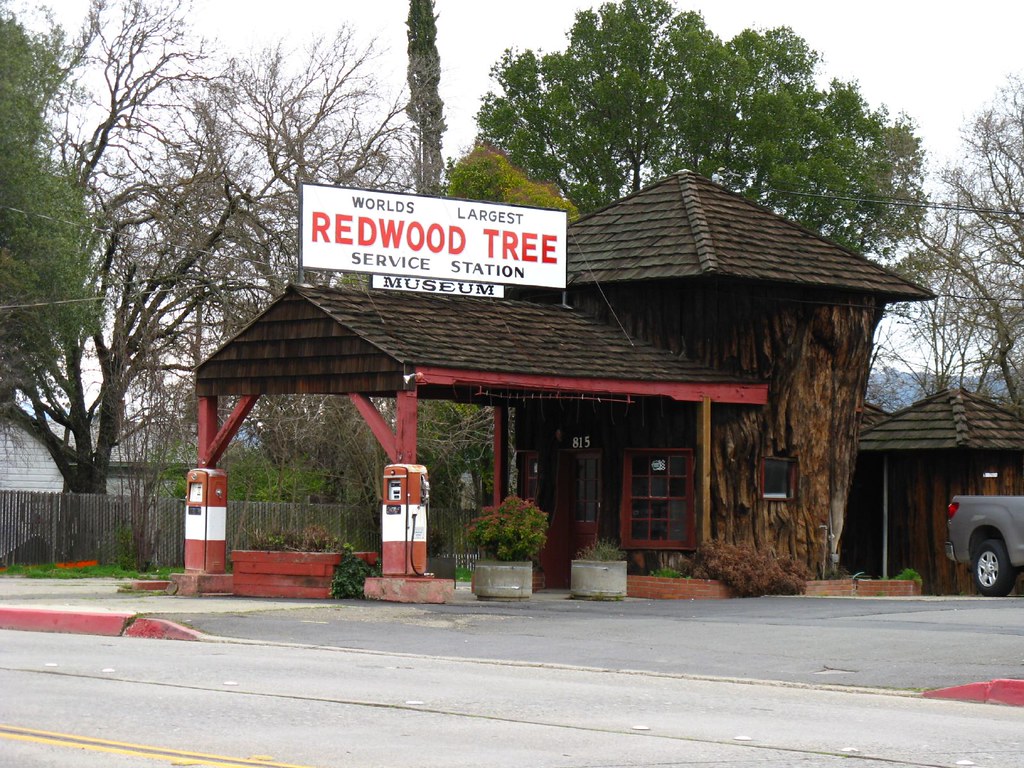 Ukiah, California World's Largest Redwood Tree Service Sta… Flickr