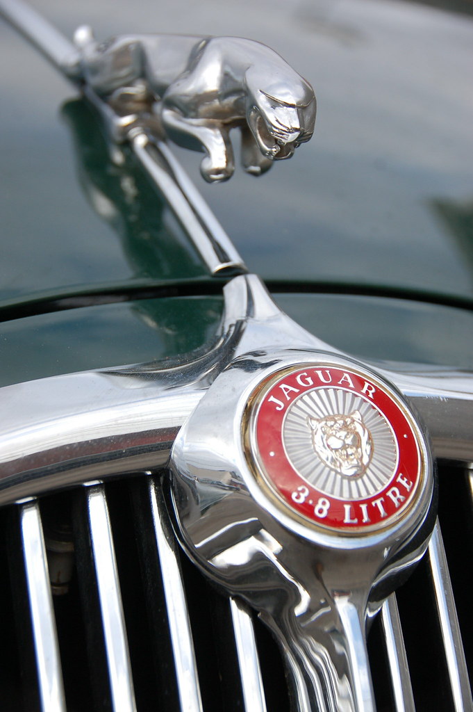 Jaguar 3.8 S Hood ornament & "3.8 LITRE" badge This one h… Flickr