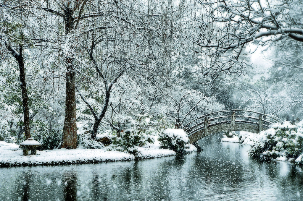 Snow Japanese Garden Fort Worth Texas Snowfall Winter Stor… Flickr